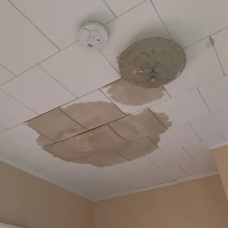 Ceiling Water Damage Repair in Manchester, CT