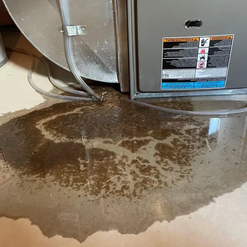 Pipe Burst and Leak Restoration in Manchester, CT